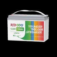 LiFePO4 аккумулятор Redodo 12V 100Ah (1280Wh) с BMS 100A фото