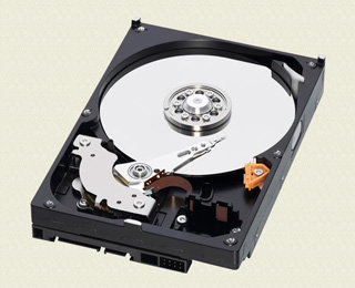 Жорсткий диск WD (WD10EARX) - 3.5 ", 1TB, 5400-7200rpm, 64Mb фото
