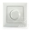 Диммер ANES 600 Вт, белый dimmer-anestech-600W-white.jpg
